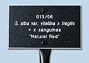 Plant Labels